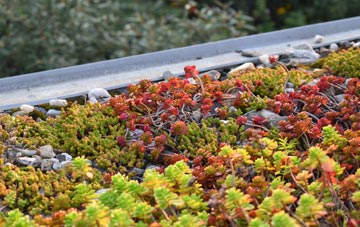 the cost of Sharptor green roof installation