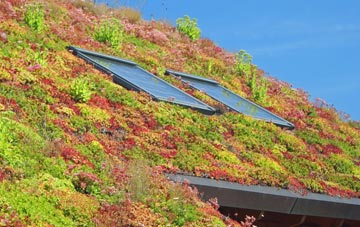 Sharptor living roof systems
