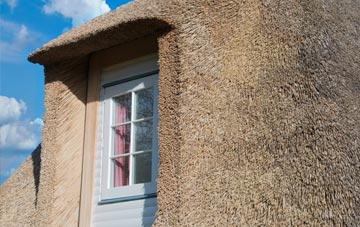 Sharptor thatch roof disadvantages